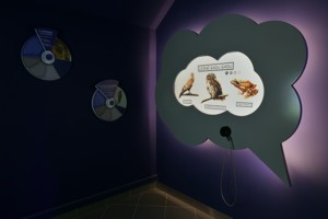 ekspozycja ekocentrum