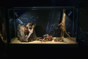 ekspozycja ekocentrum