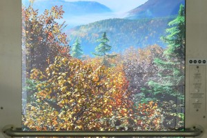 ekspozycja ekocentrum