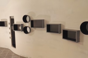 realizacja ekspozycji - sala zwierzęta