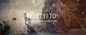 Film PPN
