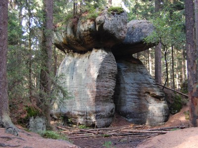 Skalne Grzyby
