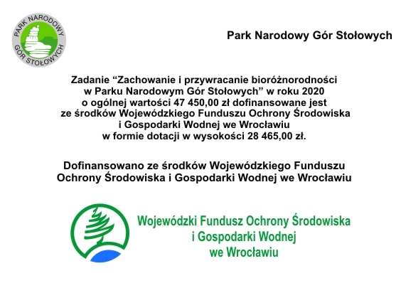 info