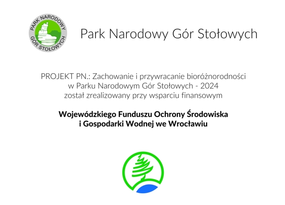 info
